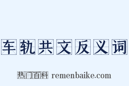 车轨共文反义词是什么意思的图片